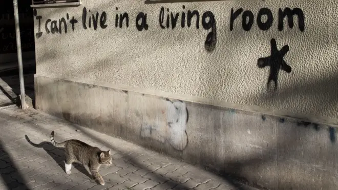 Кот на улице Афин