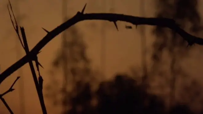 રેપ પીડિતા