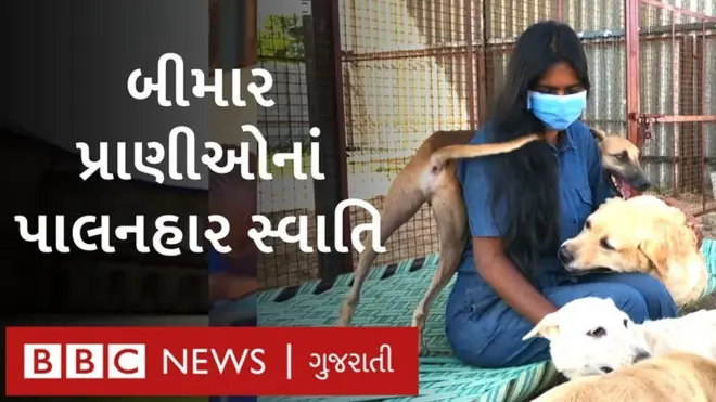 પશુપ્રેમી સ્વાતિ