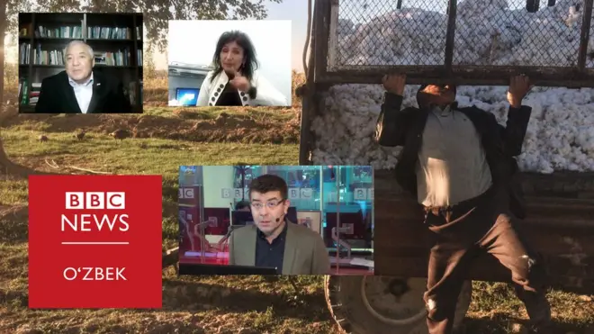 Ўзбекистон пахтадан воз кечса нима бўлади?