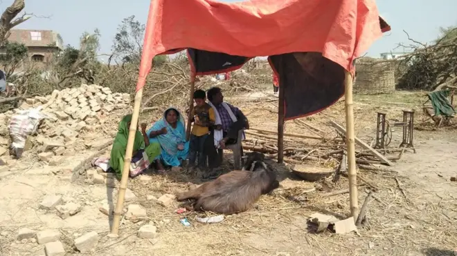 भूमरीको पर्सिपल्ट