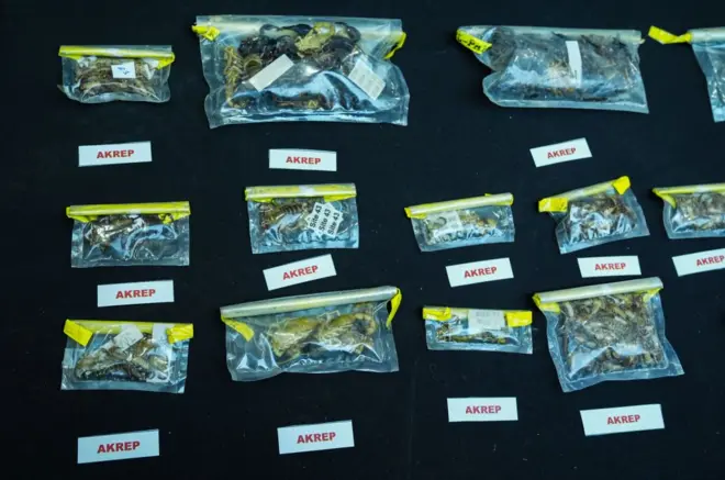 valizde bulunan örnekler