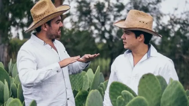 اب ان دونوں نے کیکٹس کی کاشت بھی شروع کر دی ہے