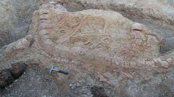 ఇచ్‌త్యోసార్ శిలాజాలను భారత్‌లో గుర్తించడం ఇదే మొదటిసారి.