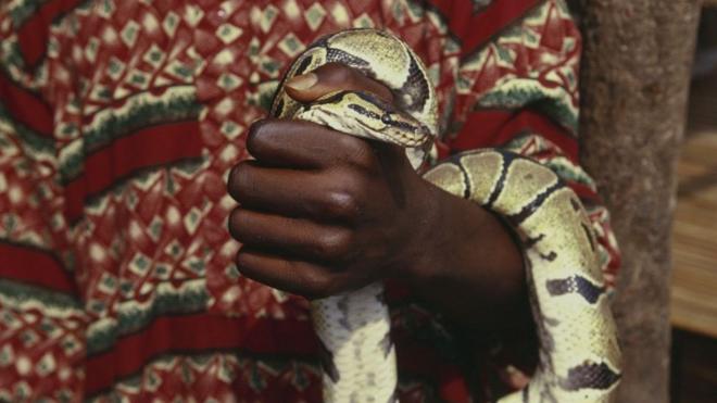 Les morsures de serpent touchent principalement les personnes démunies vivant dans les régions les plus pauvres d'Afrique, d'Asie et d'Amérique latine.