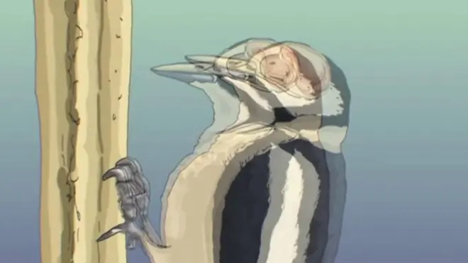 Ilustración de un pájaro carpintero.