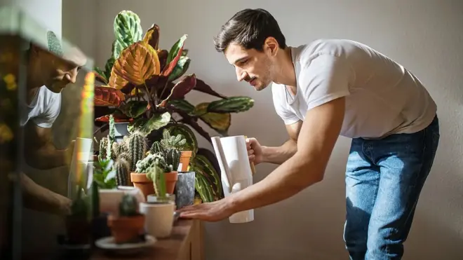 Hombre regando las plantas