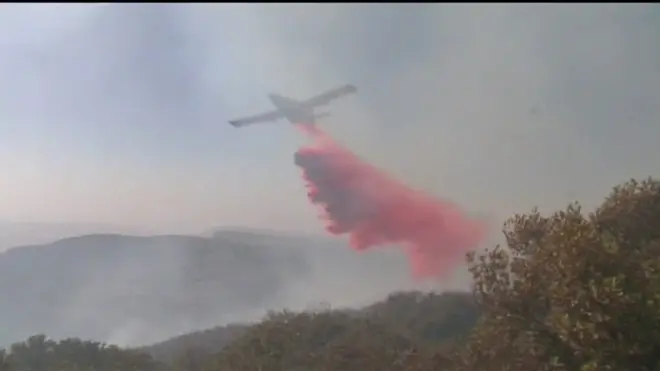 Тушение лесного пожара в Израиле