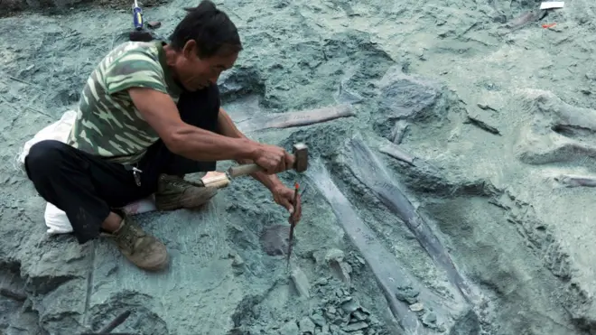 В Китае в последние годы было обнаружено много остатков динозавров