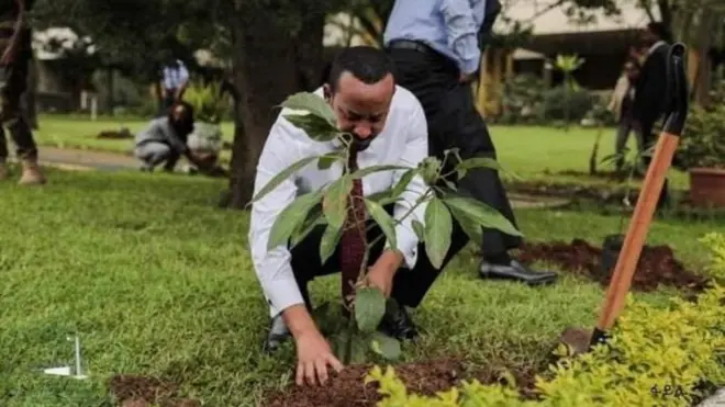 MM Abiy Ahmad yeroo biqiltuu dhaaban