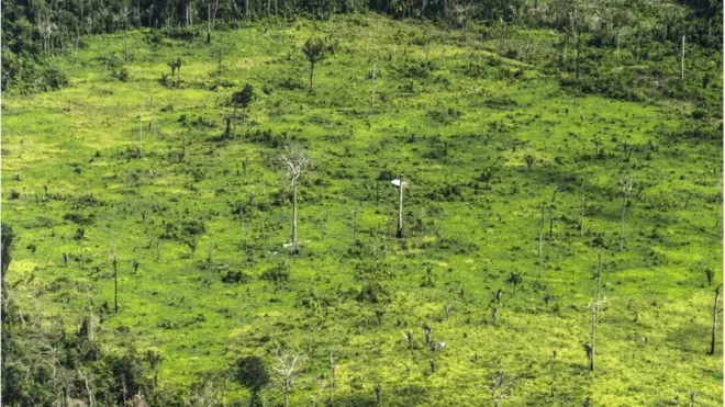 Foto mostra o desmatamento na terra indígena Ituna Itatá, a mais desmatada do Brasilaposta real madrid x liverpool2019