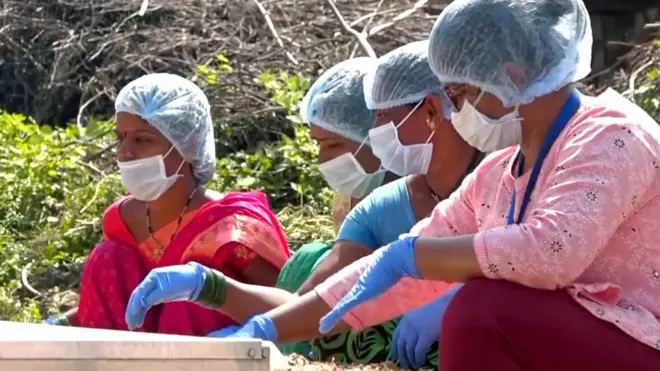 Solarne sušilice za hranu