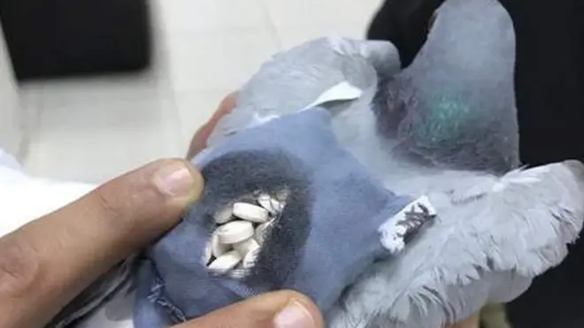 Narkotik həblərin ketamin dərmanının bir növü olduğu deyilir.