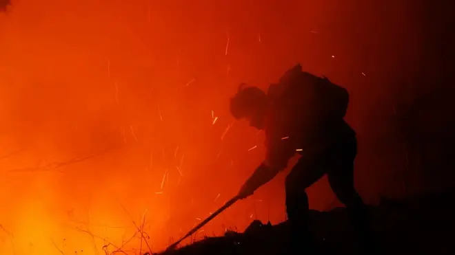 6일 경북 울진군 금강송면 소광리 일대에서 금강소나무숲을 지키기 위해 화마와 사투를 벌이고 있는 산불재난특수진화대원