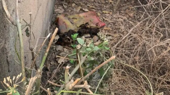 Oku eeyan ninu ile akọpati