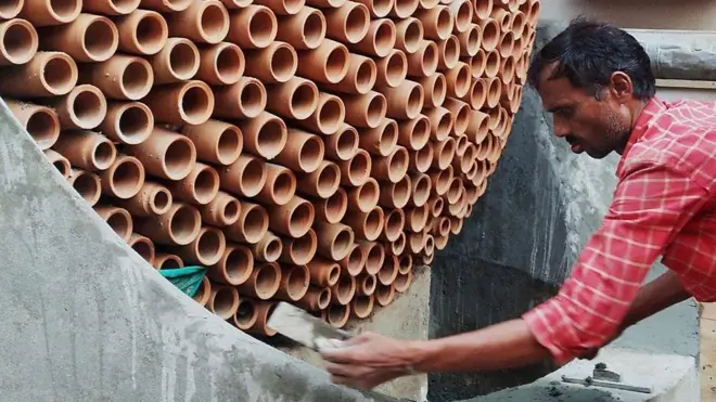 కూల్ యాంట్ ఫోటో 