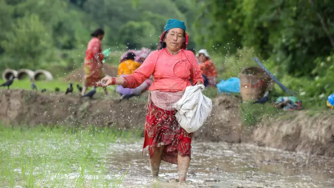 रासायनिक मल छर्दै महिला