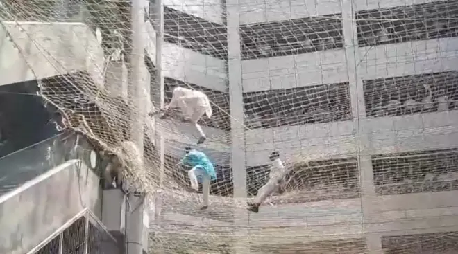 आपल्या मागण्यांसाठी आदिवासी आमदारांनी मंत्रालयाच्या तिसऱ्या मजल्यावरुन जाळीवर उडी मारली.