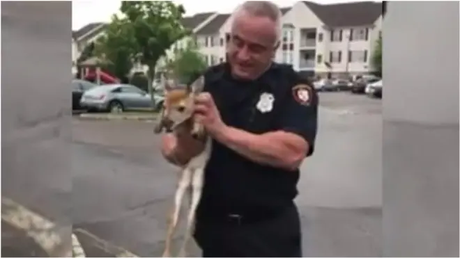 поліцейський