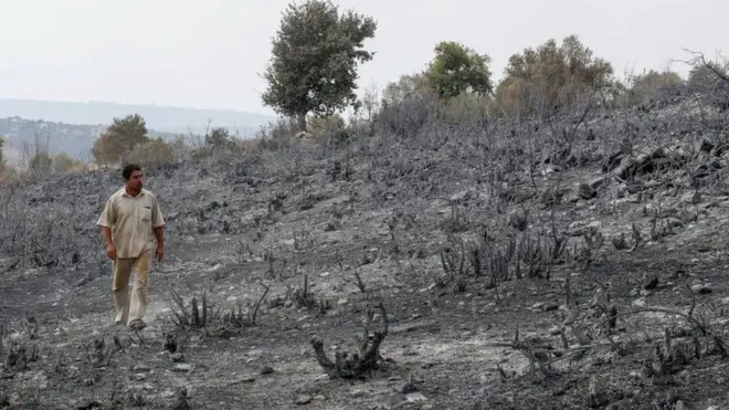 A man looks at burned farmland near Tartous, Syria (11 October 2020)3