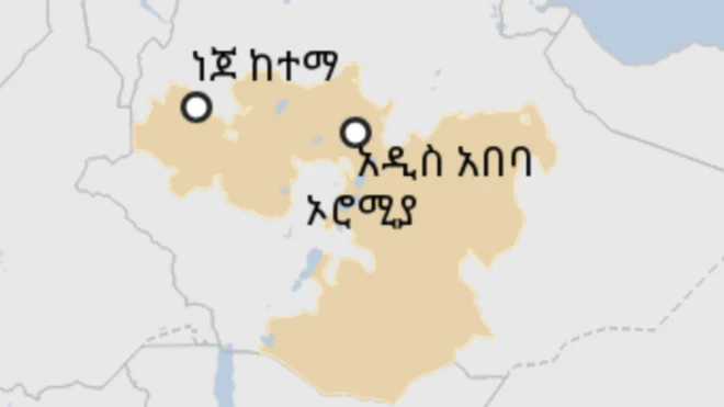 ነጆ ከተማ
