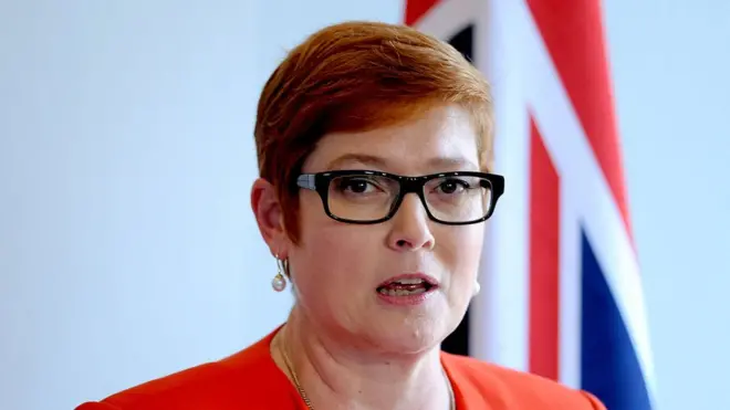 ماریس پایني ویلي، ددغو نورو پوځي سلاکارانو دنده به د افغان سرتېرو روزونه او هغوی ته سلا مشورې ورکول وي.