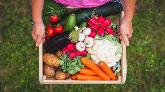 هل يصمد مخزون الغذاء في العالم العربي أمام تحدي فيروس كورونا؟