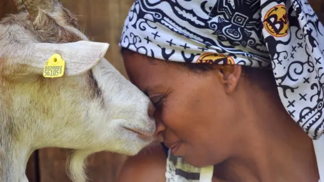 Aggituun re'oota ishee waliin