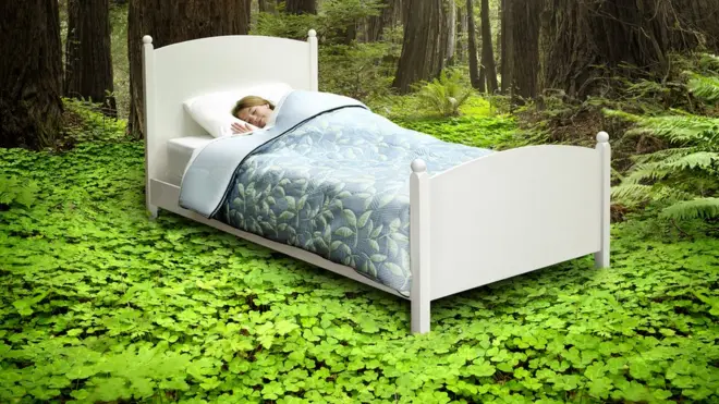 Qof sariir duurka ku dhex jiifa