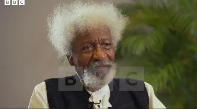 Aworan Ọjọgbọn Wọle Soyinka