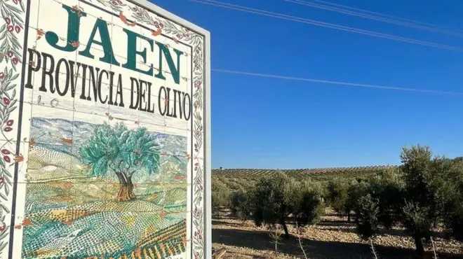 ispanya zeytinyağı