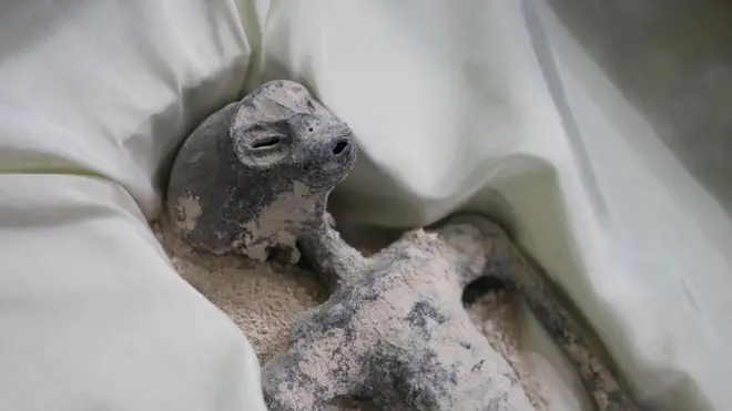 عينة من "جثث" المخلوقات الفضائية التي قدمت أمام الكونغرس المكسيكي في وقت سابق من هذا الأسبوع، في مكسيكو سيتي، المكسيك في 15 سبتمبر/أيلو 2023.