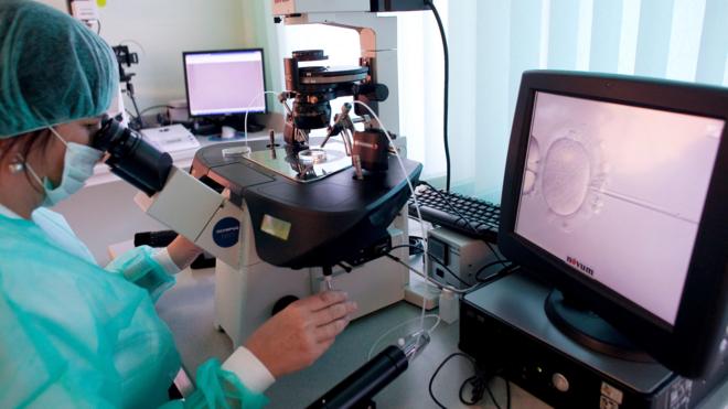 Imagem mostra momentoapostas grátis futebolque é feita fertilizaçãoação in vitro