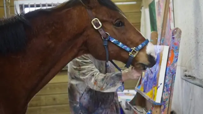 Metro, el caballo pintor