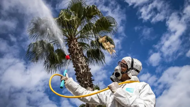 कोरोना का संकट