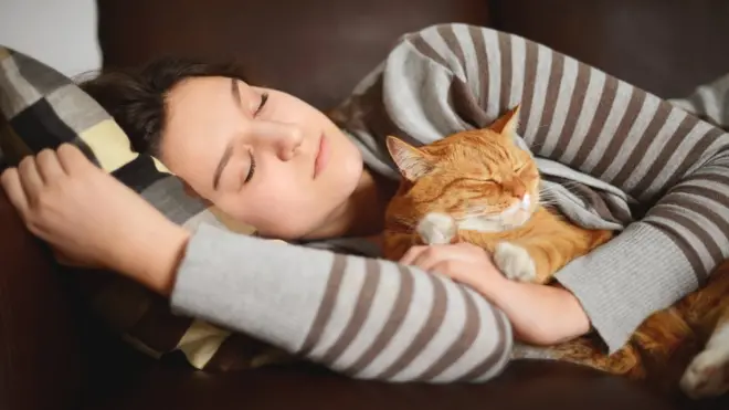 Спящая девушка и кот