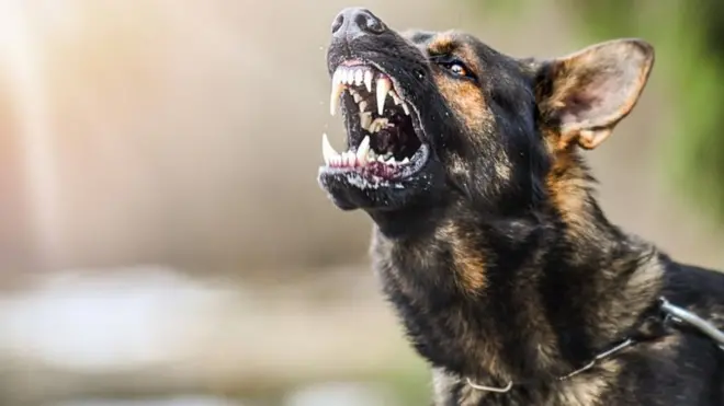 प्रातिनिधीक फोटो 