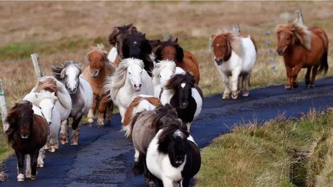 Getty Images / Jeff J Mitchell