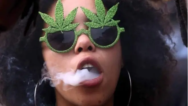 Le cannabis pourra être consommé par les adultes à titre privé