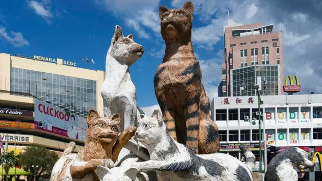 古晋到处都看得到猫的踪影（图片来源：Grant Dixon/Getty Images）