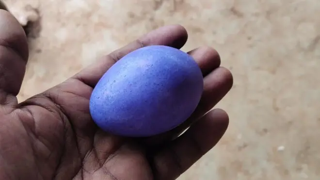 नीले रंग का अंडा