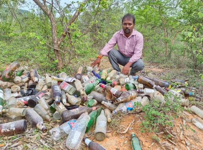 కొమెర జాజి