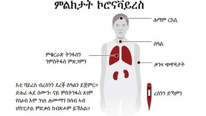 ስእላዊ መግለጺ ኮሮናቫይረስ