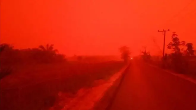 Kondisi di Desa Mekar Sari, Kumpeh, Kabupaten Muaro Jambi, Provinsi Jambi, pada Sabtu (21/09), pukul 12.22 WIB.