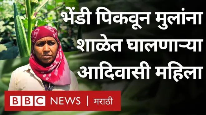 भेंडी पिकवणाऱ्या आदिवासी महिला 