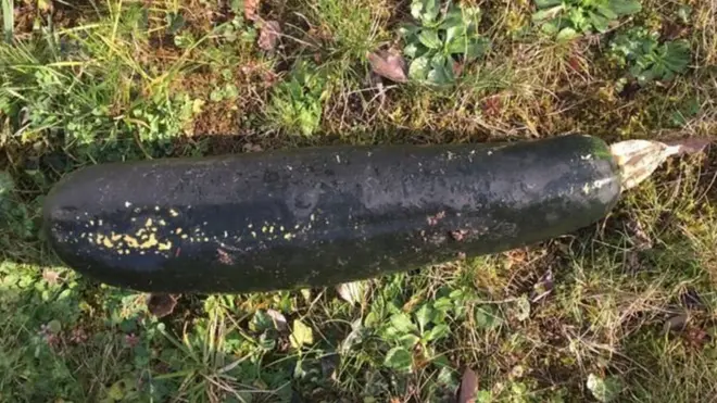 Поліція сказала пенсіонеру, що їм також кабачок видався схожим на бомбу