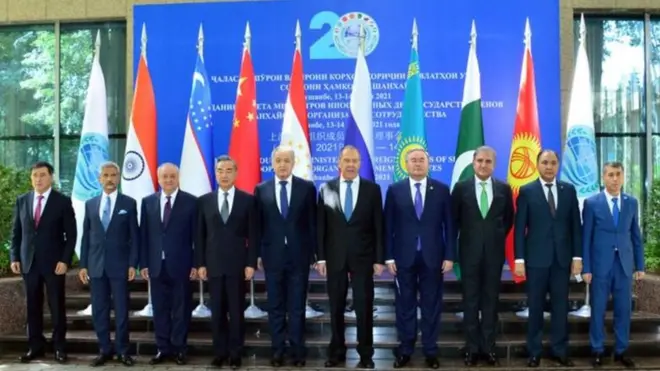 شانګهای سازمان