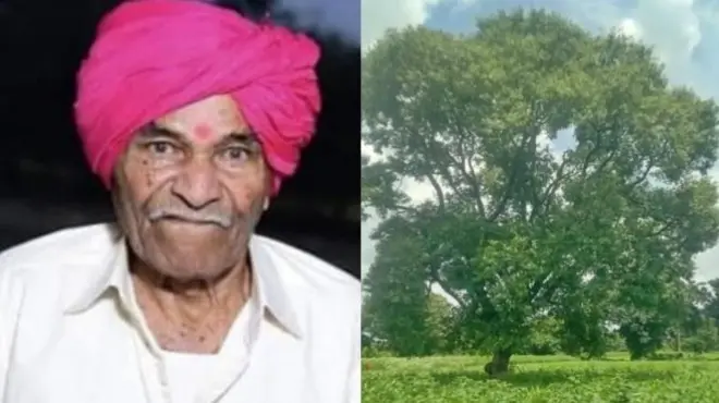 சந்தன மரம், இழப்பீடு, ரயில்வே