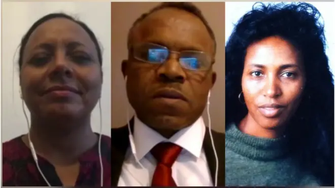 ዘውዲ ተስፋማርያም፡ ጎርደን፡ ኣልጋነሽ ገብረ