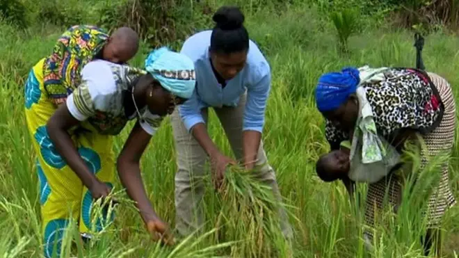 La technologie au service de l’agriculture en Côte d'Ivoire
